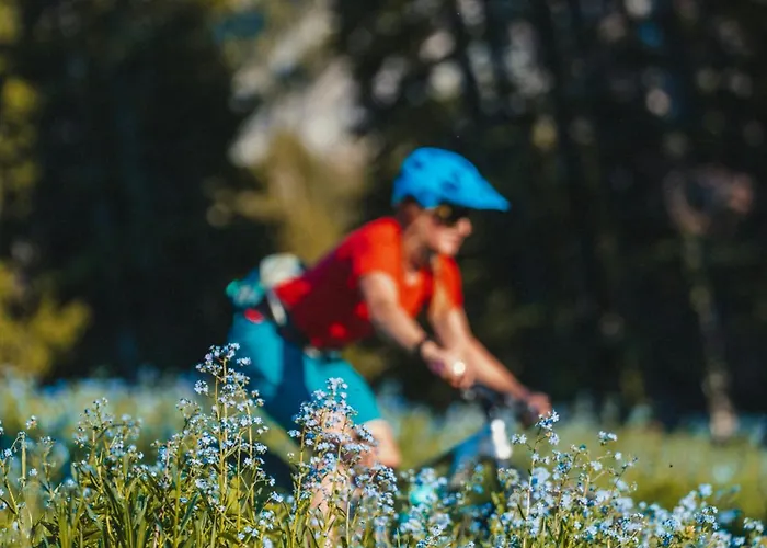 Chalet Seven Summits - Pool - Sauna - Jacuzzi - By Cozee Chamonix